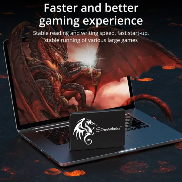 Genuine 2TB SSD for Gaming and Storage Data