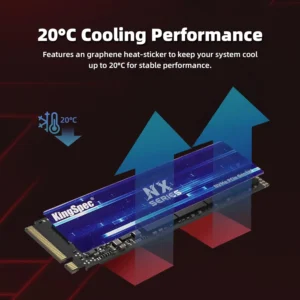 KingSpec 256GB M.2 NVMe SSD