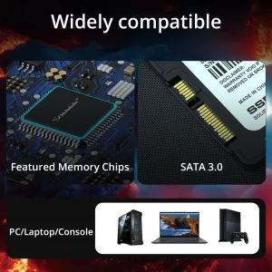 Somnambulist 2.5″ 1TB SATA SSD